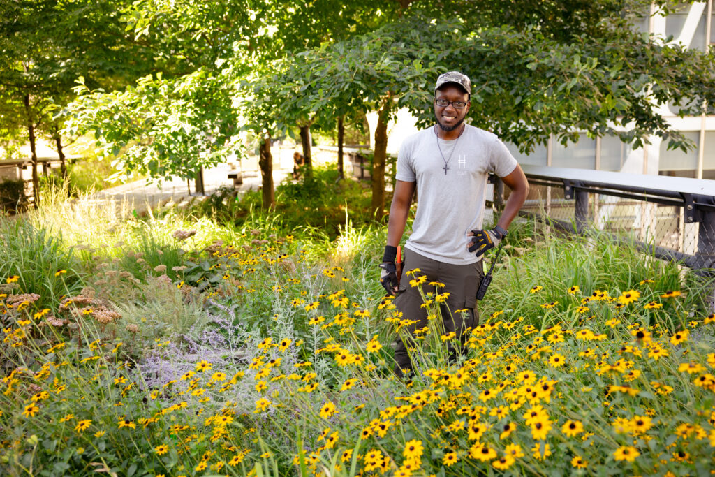 A gardener stands in the High Line's gardens