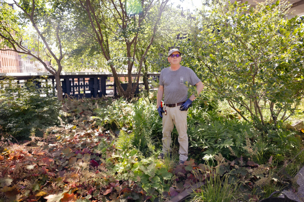 A gardener stands in the High Line's gardens