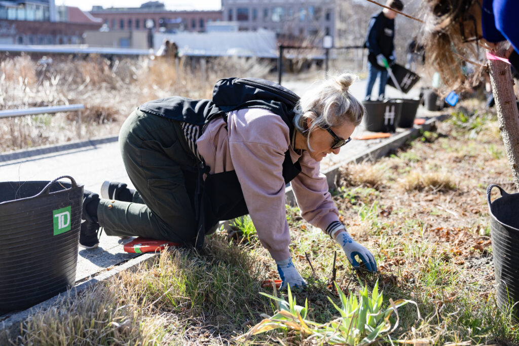 A volunteer helps with Spring Cutback on the High Line