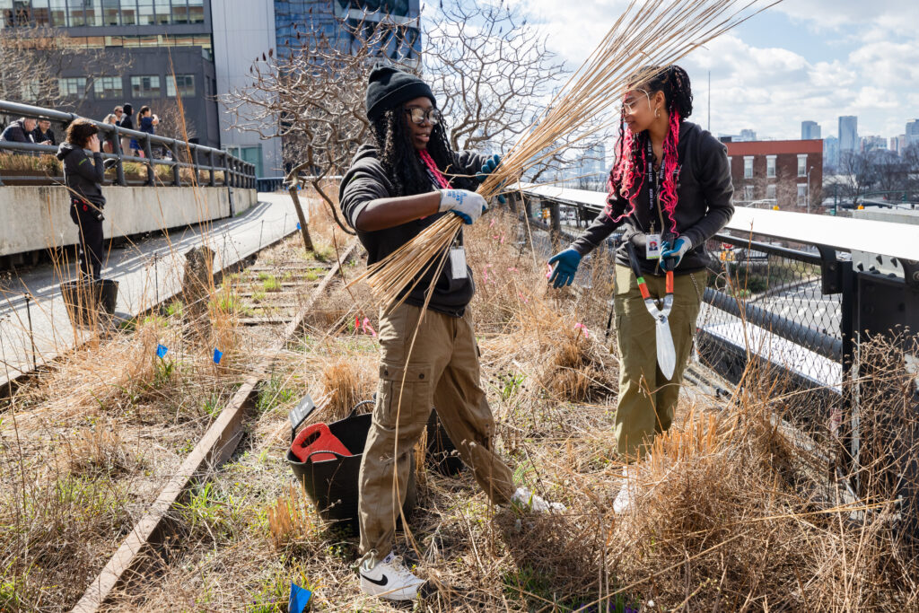 Two High Line Fellows participate in Spring Cutback on the High Line