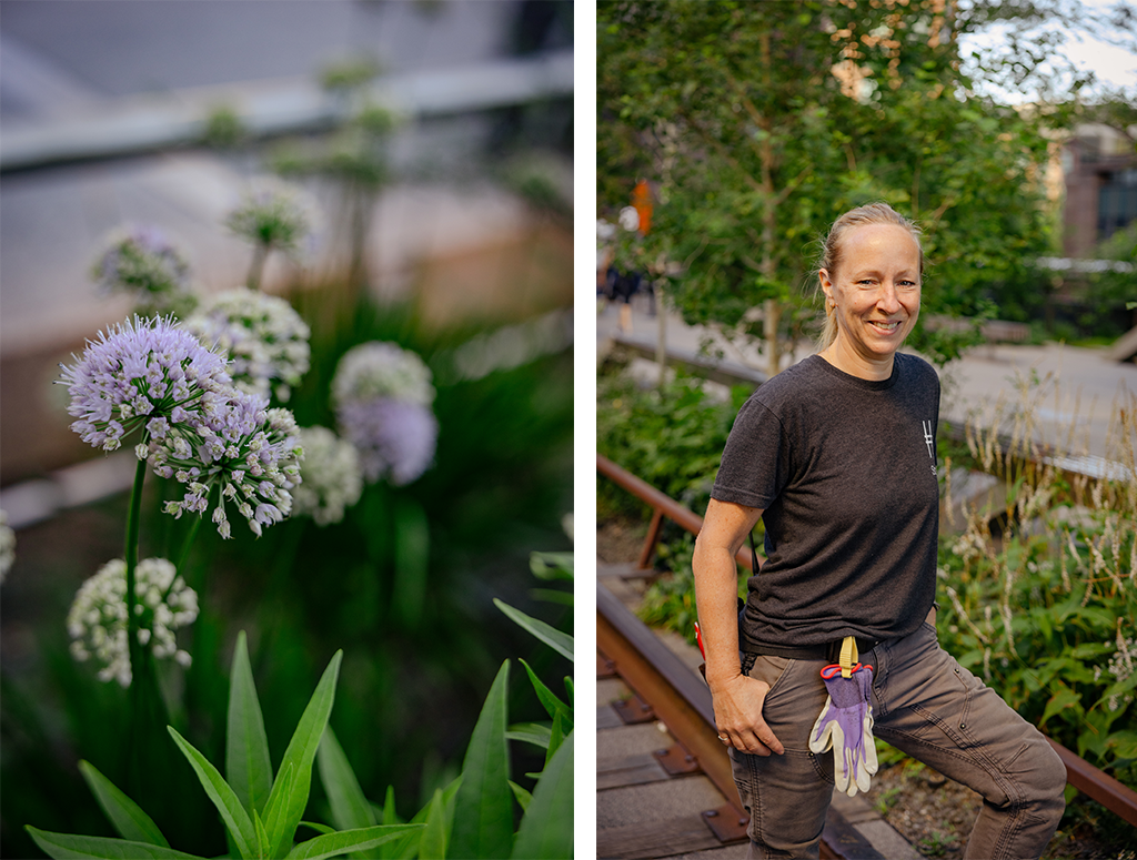 A gardener stands in the High Line's garden